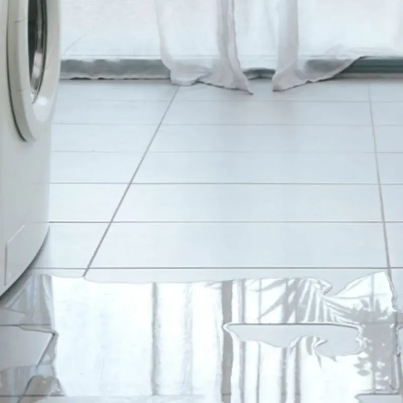 Appliance Leak Cleanup in Spring Valley, WI