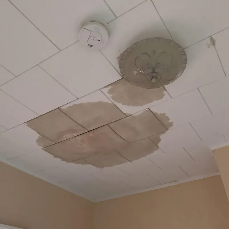 Ceiling Water Damage Repair in Spring Valley, WI