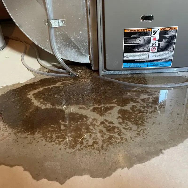 Pipe Burst and Leak Restoration in Spring Valley, WI